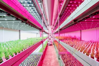 2..Vertical Farm