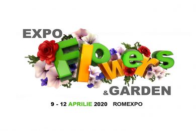 300-x-200-px–Expo-Flowers-small
