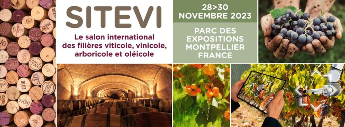 SITEVI 2023: The VINE-WINE Sector in the Spotlight