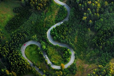 Aerial View Of Winding Road Amidst Trees