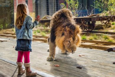 Guardian Glass furnizează o experiență multi-senzorială la glasstec 2018