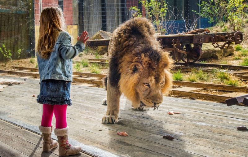 Guardian Glass furnizează o experiență multi-senzorială la glasstec 2018