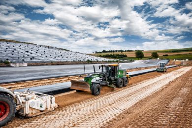 WI_Jobreport Wachenfeld WS 250_01