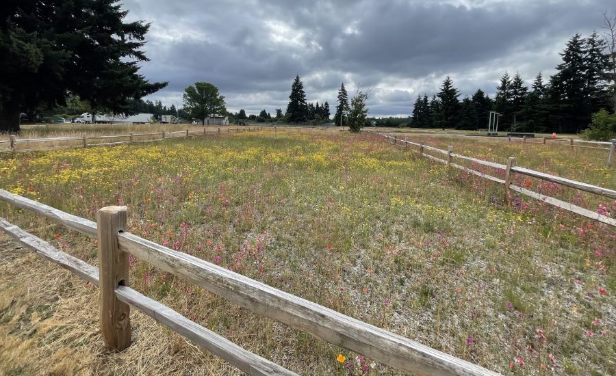 The Ray Deploys Natural Capital at WSDOT’S Scatter Creek Site