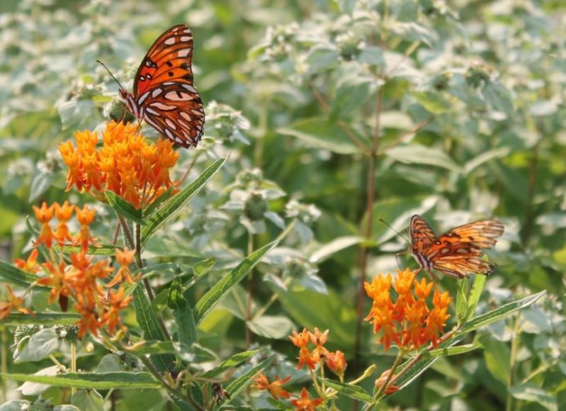 e2d5d0ad-be71-517e-fe50-69e756f14ab5