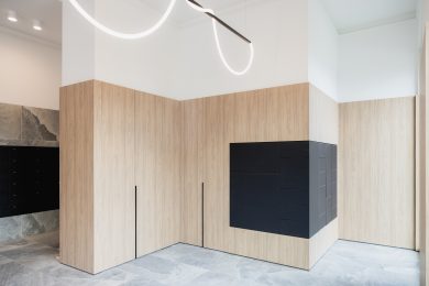 eSafe Wall_German Design Award_03