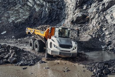 liebherr-TA230-steinexpo-1-300dpi
