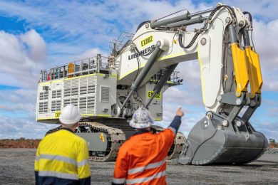 liebherr-gold-fields-support_300dpi