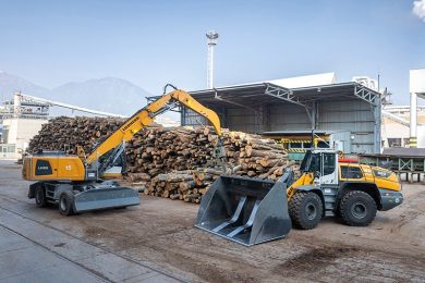 liebherr-holzeinsatz-fantoni_96dpi_w800