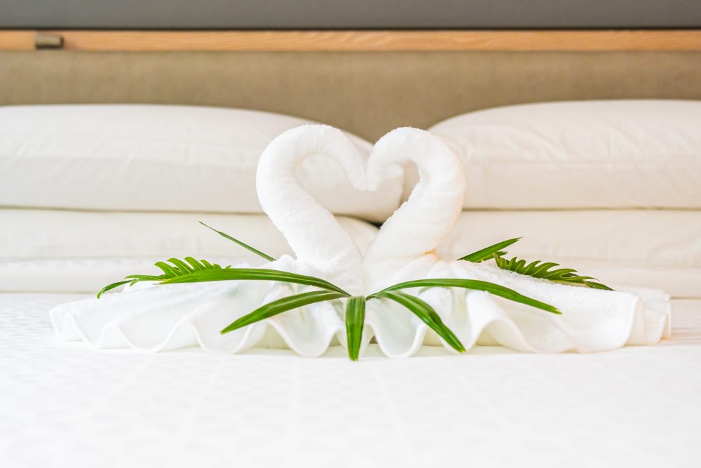 Initiative ecologice in industria hoteliera pentru atingerea obiectivelor ecologice